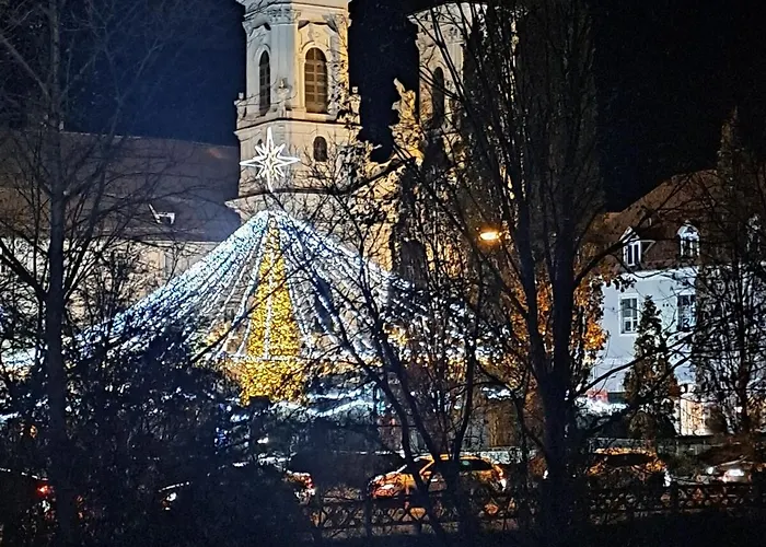 Apartment, 60m2, 2 Rooms, 4 Guests * Graz